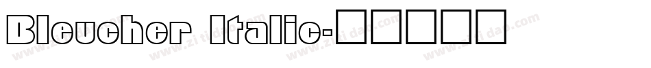 Bleucher Italic字体转换
